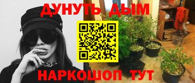 шишки Апшеронск