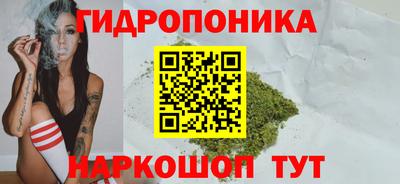 шишки Апшеронск