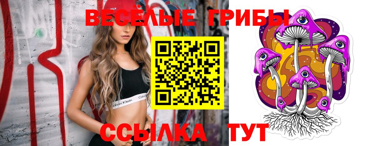 Галлюциногенные грибы мицелий  Вход с VPN  Грязи  Псилоцибиновые грибы мицелий 