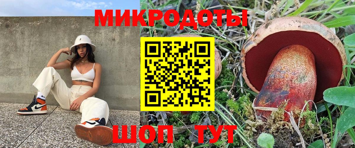 Галлюциногенные грибы GOLDEN TEACHER Грязи